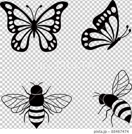 蝴蝶,蜜蜂線圖 蝴蝶,蜜蜂線圖 88467474