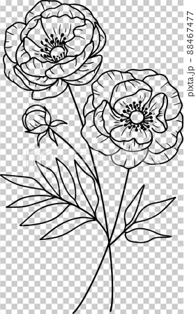 Aggregate 82 chrysanthemum november birth flower tattoo best  thtantai2