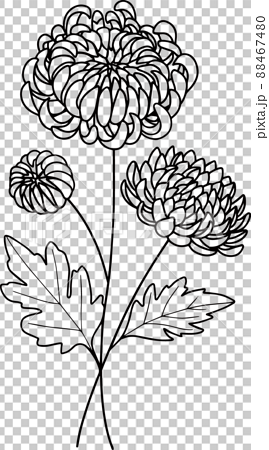 15 Chrysanthemum November Birth Month Flower Tattoo Ideas   EntertainmentMesh