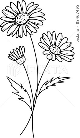What Does Your Birth Flower Say About Your Personality  Women  Birth  flower tattoos Birth flowers April birth flower