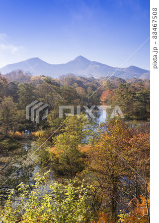 紅葉の中瀬沼と磐梯山 88467508
