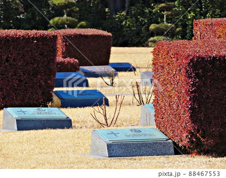 国連記念公園 墓地 墓 88467553
