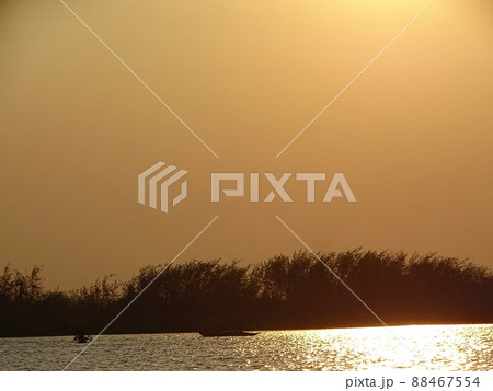 アフリカのマラウイにあるリウォンデ国立公園（サファリツアー） 88467554