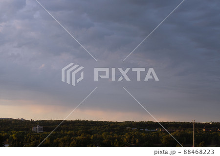 skyline with forest area on pink blue sunset on cloudy sky. skyline with forest area on pink blue sunset on cloudy sky. 88468223