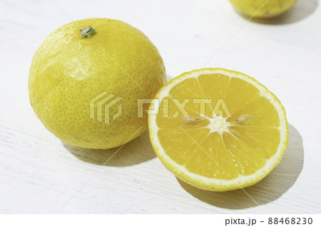 湘南ゴールド（神奈川県産、黄金柑（ゴールデンオレンジ）’と温州みかん‘今村温州’の交配種） 88468230