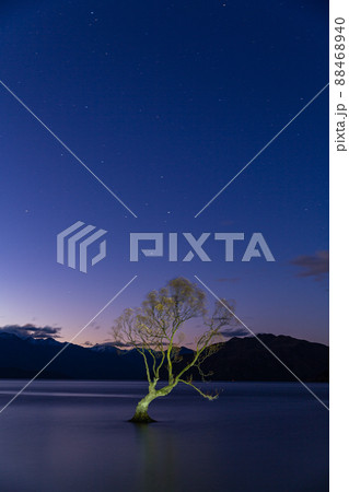 ニュージーランド オタゴ地方の夜のワナカ湖内に立つワナカ・ツリー ニュージーランド オタゴ地方の夜のワナカ湖内に立つワナカ・ツリー 88468940