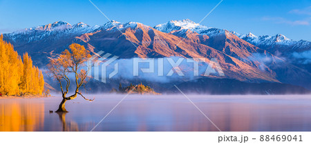 ニュージーランド　ワナカ湖の紅葉と湖内に立つワナカ・ツリーと朝陽で染まった南アルプス山脈 88469041