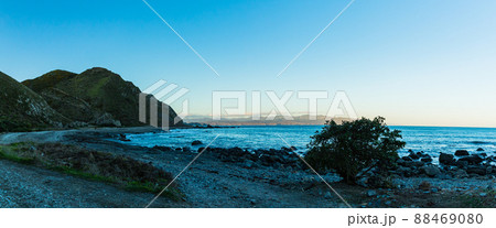 ニュージーランド　首都ウェリントンのレッド・ロックス・リザーブのビーチ 88469080