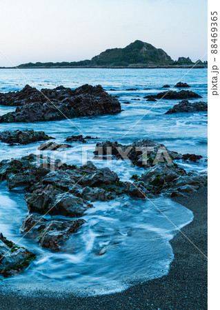 ニュージーランド　首都ウェリントンのアイランド・ベイのビーチ 88469365