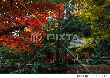 日本　静岡県周智郡森町、小國神社の事待池の紅葉 88469416