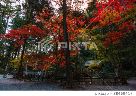日本 静岡県周智郡森町、小國神社の事待池の紅葉 日本 静岡県周智郡森町、小國神社の事待池の紅葉 88469417