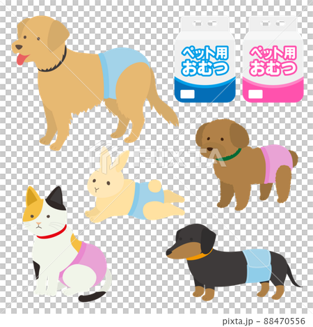 穿著尿布的寵物的插圖 88470556