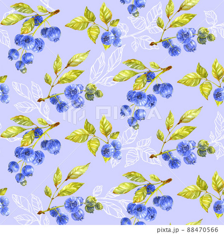 Blueberry seamless pattern. White outline leaves and berry branches on light blue background. Watercolor illustration Blueberry seamless pattern. White outline leaves and berry branches on light blue background. Watercolor illustration 88470566