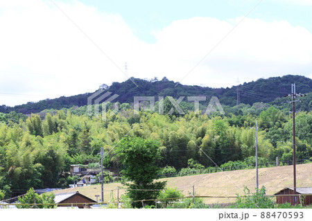 EOS72018法隆寺その54 88470593