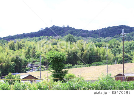 EOS72018法隆寺その56 88470595