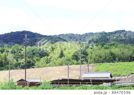 EOS72018法隆寺その57 88470596