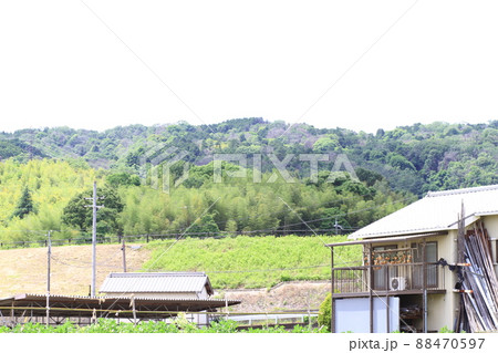 EOS72018法隆寺その58 88470597