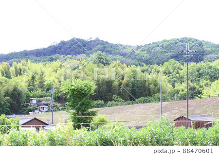 EOS72018法隆寺その62 88470601