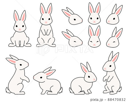 白いウサギのイラストセット 88470832
