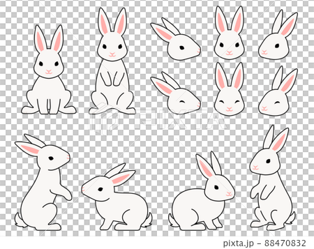 白いウサギのイラストセット 88470832