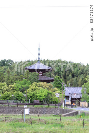 EOS72018法輪寺その4 EOS72018法輪寺その4 88471174