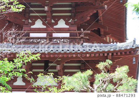 EOS72018法起寺その5 88471293