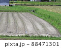 EOS72018法起寺その13 88471301