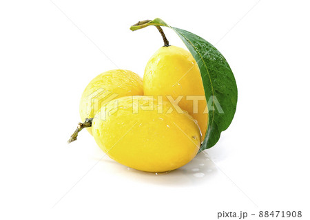 Marian Plum, Plum Mango, yellow fresh fruit and green leaf. Summer fruit with a sweet and sour taste. isolated on white background. 88471908