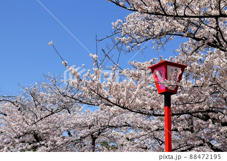 春の奥の細道結びの地散策・59（岐阜県大垣市） 88472195