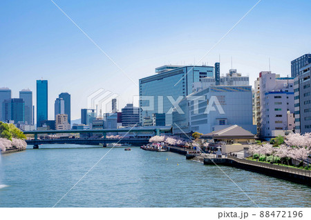大阪　天満橋　桜 88472196