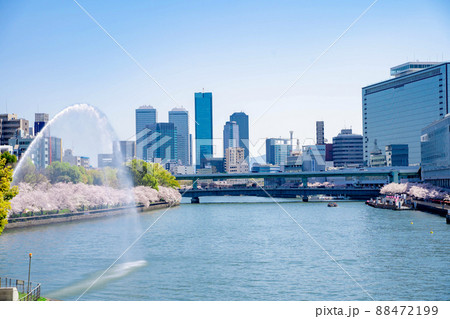 大阪 天満橋 桜 大阪 天満橋 桜 88472199