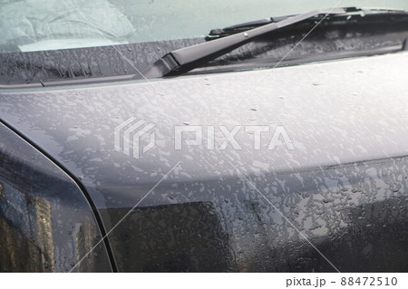 霜　ボンネット　乗用車 88472510