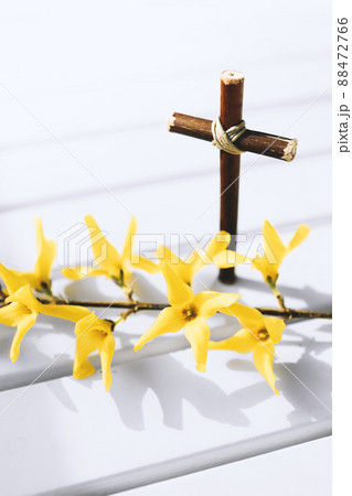 クロス 花 春 88472766