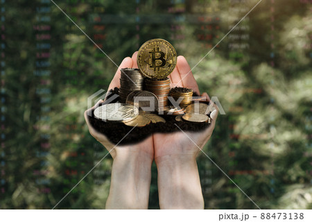 Growing Money - Crops on Coins - Finance and Investment Ideas. 88473138