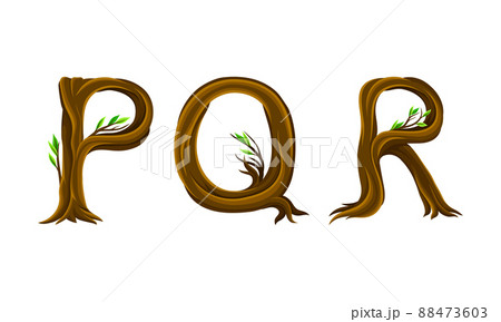 P,Q,R letters made of branches and leaves. Eco english alphabet font vector illustration P,Q,R letters made of branches and leaves. Eco english alphabet font vector illustration 88473603