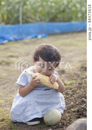 畑でとうもろこしに齧り付く子供 畑でとうもろこしに齧り付く子供 88473618