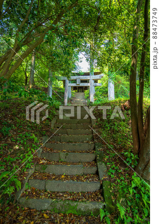 赤城神社 参道階段 黒保根町 初夏の風景 の写真素材 [88473749] - PIXTA