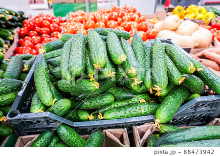 Freshly harvested cucumbers, tomatoes and other vegetables 88473942