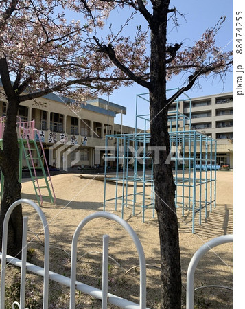 園庭 園庭 88474255