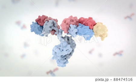 The structure of a typical antibody molecule.Antibodies and amino acids 88474516