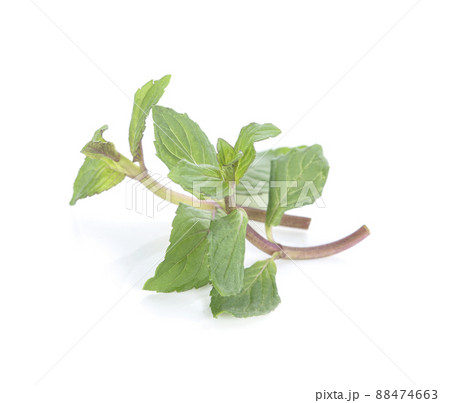 Herbal tea leaves isolated on white background 88474663