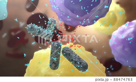 Bacterial diphtheria, Fight against antibodies 88474763
