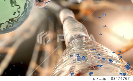 Antibodiese mitted by the plasma cell in the nervous system Antibodiese mitted by the plasma cell in the nervous system 88474767