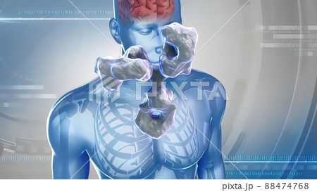 Blue transparent human, Inside The Human Brain travel, antibodies in brain cell Blue transparent human, Inside The Human Brain travel, antibodies in brain cell 88474768