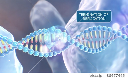 Scientific animated A specific inhibitor of DNA polymerase Scientific animated A specific inhibitor of DNA polymerase 88477446