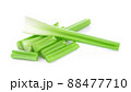fresh celery isolated on a white background. 88477710