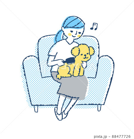 トイプードルのグルーミングをしている女性 トイプードルのグルーミングをしている女性 88477726