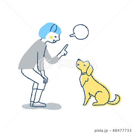 犬にコマンドを言っている若い女性 犬にコマンドを言っている若い女性 88477733