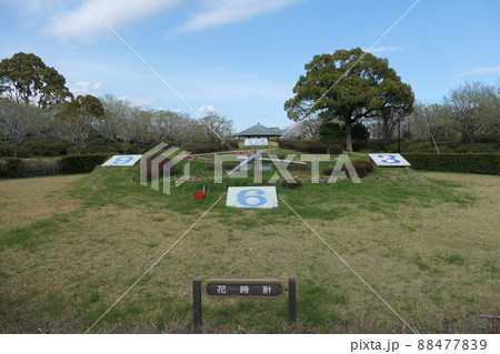 城北公園 88477839