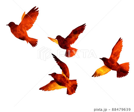 飛ぶ鳥の赤茶色シルエット 羽ばたく鳥の手描き水彩イラスト素材のイラスト素材